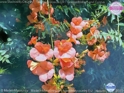 MadeinMycountry-Aegean-sea-of-Greece.-Cyprus-and-the-Greek-islands
